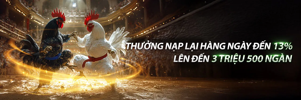 Đá Gà Trực Tuyến VZ99 Nhà Cái